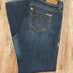 Melissa McCarthy 7seven jeans